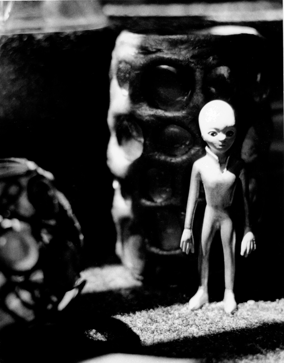 Black Dwarf Wants To Know: Are You Up For Being A Martian?